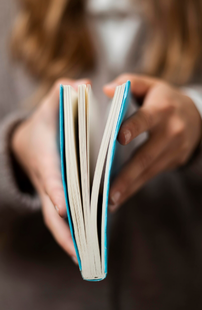 asesor lingüístico